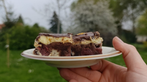 Judith's German Layer Cake